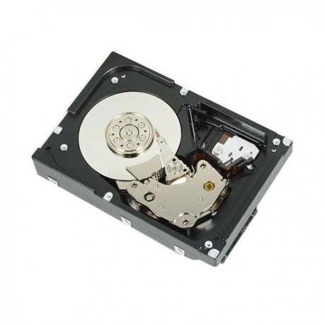 DISCO DURO DELL 1TB 7.2K SATA 3.5" PARA T140/R240 (400-AUPW)